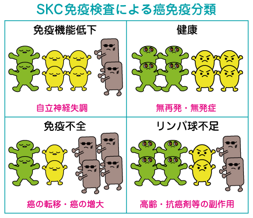 SKC癌免疫分類とは