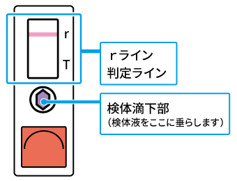 抗原検査についての画像1