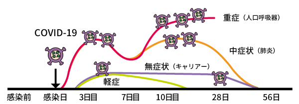 抗原検査についての画像3