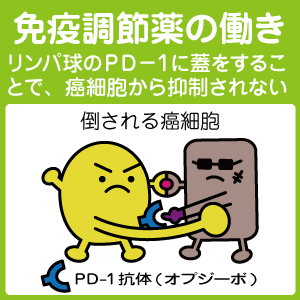 免疫調節薬について