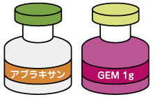 Nab-PAC+GEM ( アブラキサン+ジェムザール)
