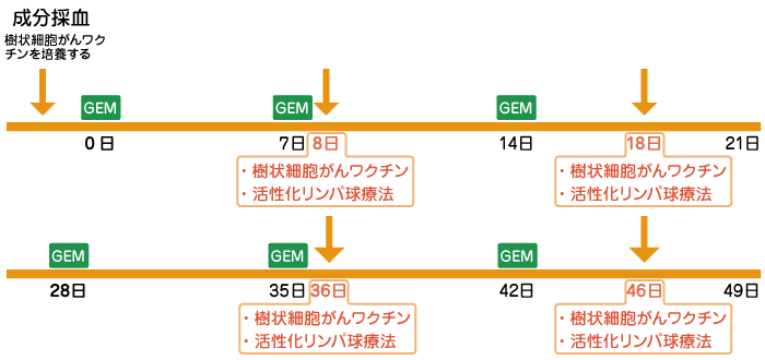 ジェムザール