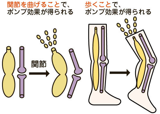 関節を動かす