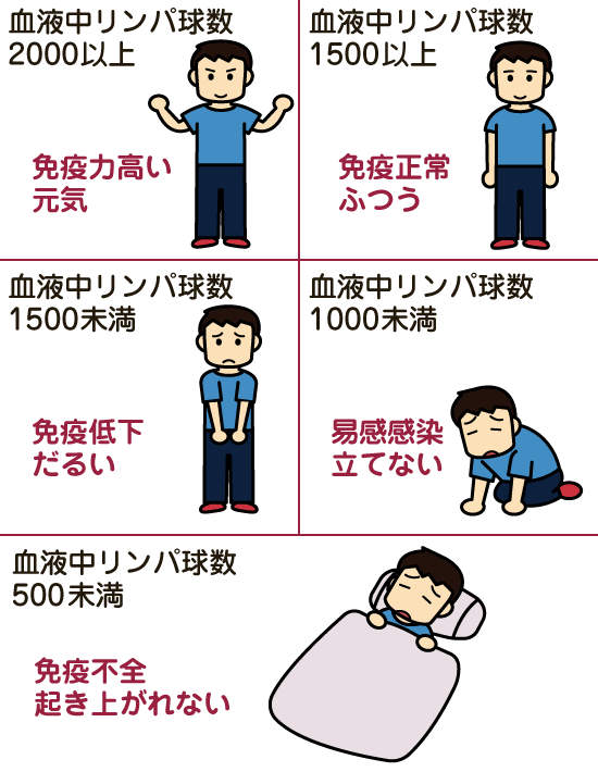 リンパ球数で決まる免疫力・元気力