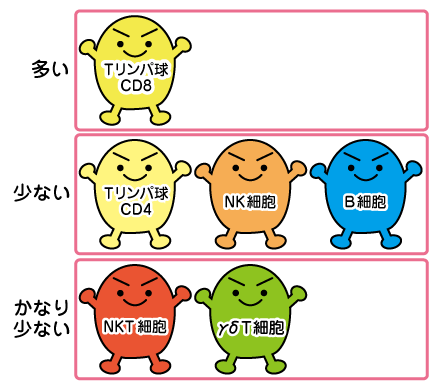 リンパ球の種類と割合